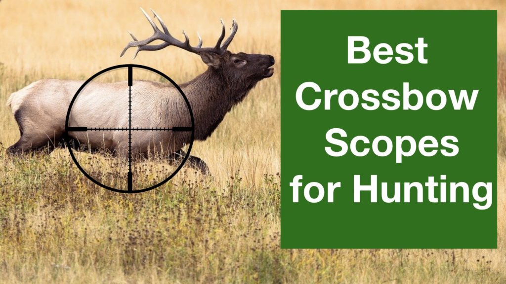 Best Crossbow Scopes for Hunting