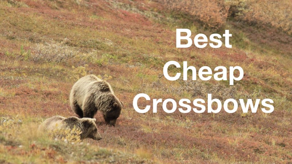 Best cheap crossbows