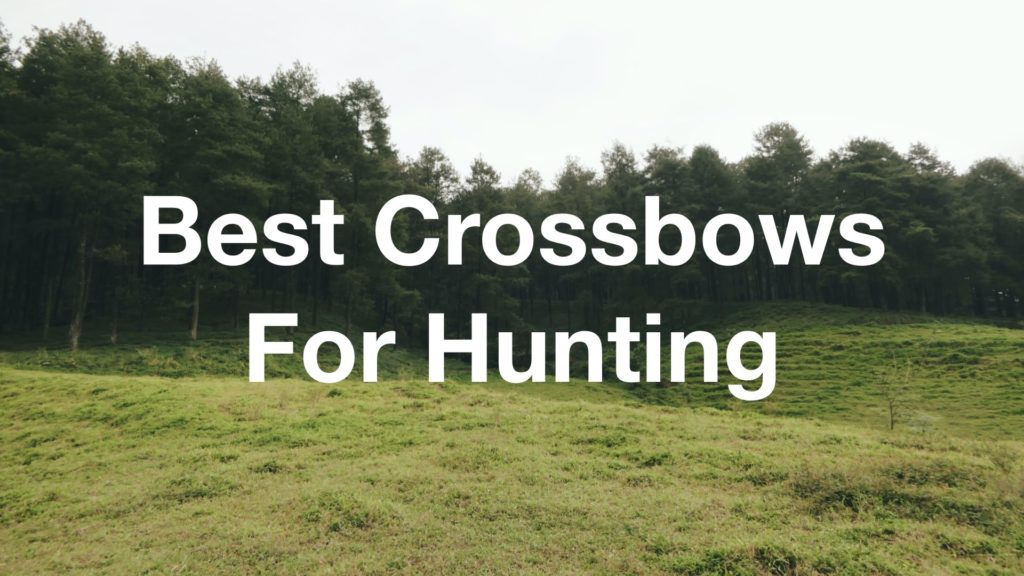 Best crossbows for hunting