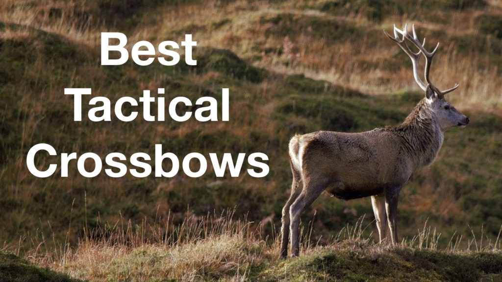 Best tactical crossbows