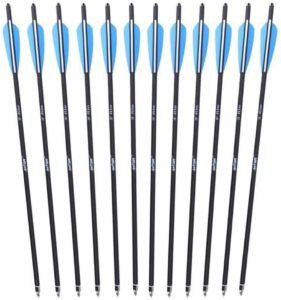 ANTSIR 20 Hunting Archery Carbon Arrow
