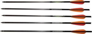 Barnett Outdoors Carbon Crossbow 20-Inch Arrows