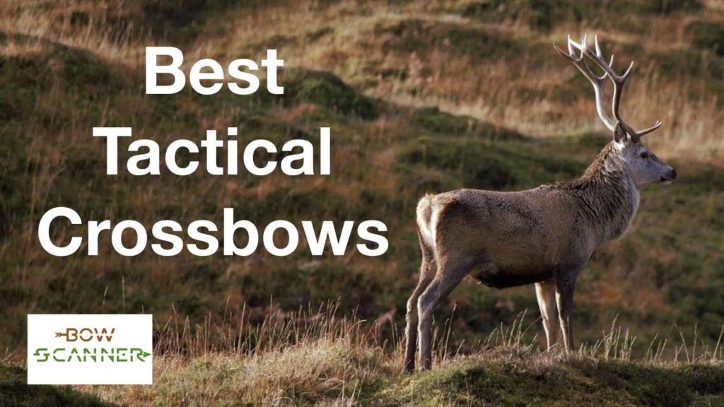 best tactical crossbows