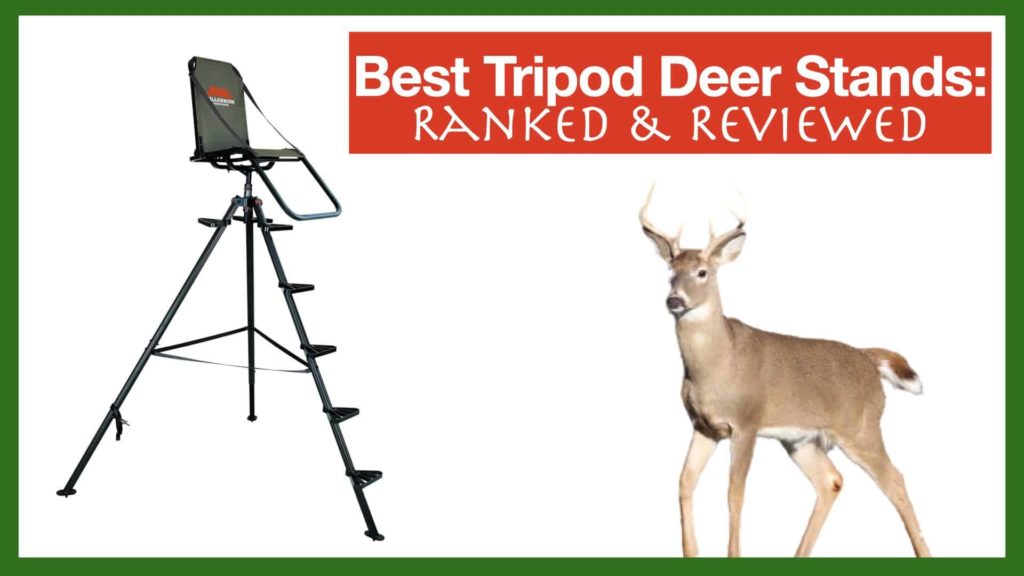 Best tripod deer stands