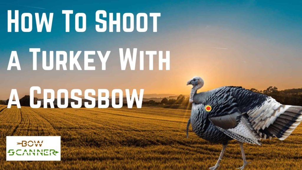 How to shoot a turkey with a crossbow